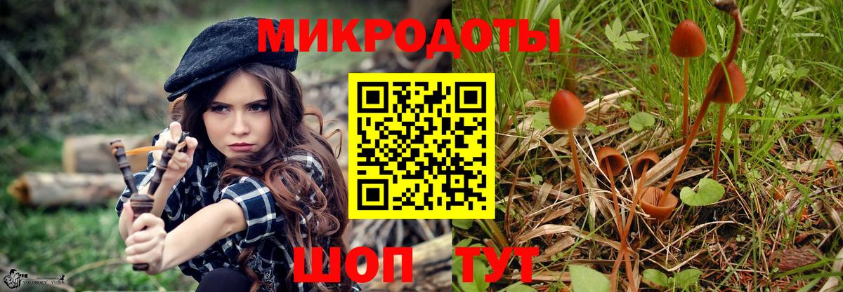 Галлюциногенные грибы Psilocybe  Вход с VPN  Алексин  Галлюциногенные грибы Psilocybine cubensis 