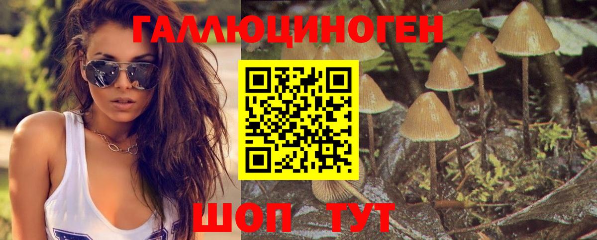 Галлюциногенные грибы GOLDEN TEACHER Алексин